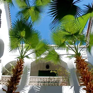 Riad Riad Vert